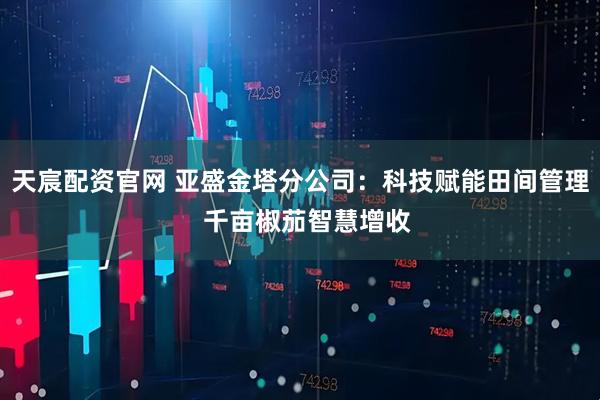 天宸配资官网 亚盛金塔分公司：科技赋能田间管理  千亩椒茄智慧增收