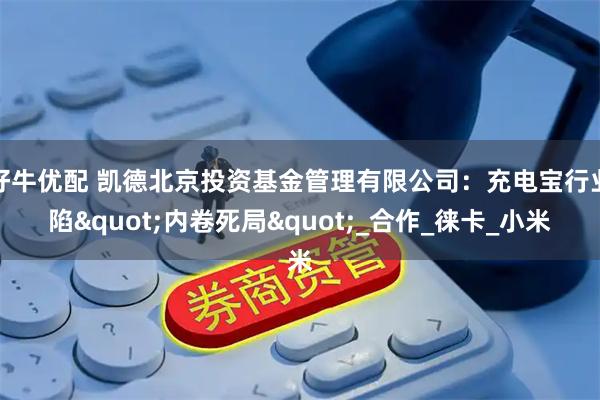 好牛优配 凯德北京投资基金管理有限公司：充电宝行业陷"内卷死局"_合作_徕卡_小米