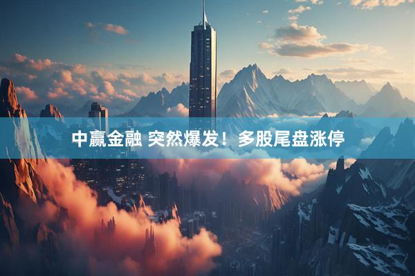 中赢金融 突然爆发！多股尾盘涨停