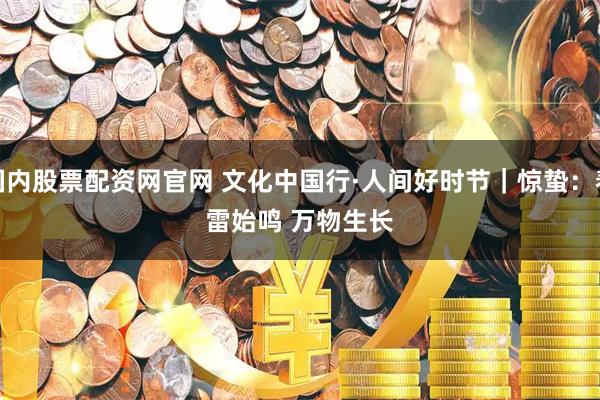 国内股票配资网官网 文化中国行·人间好时节｜惊蛰：春雷始鸣 万物生长